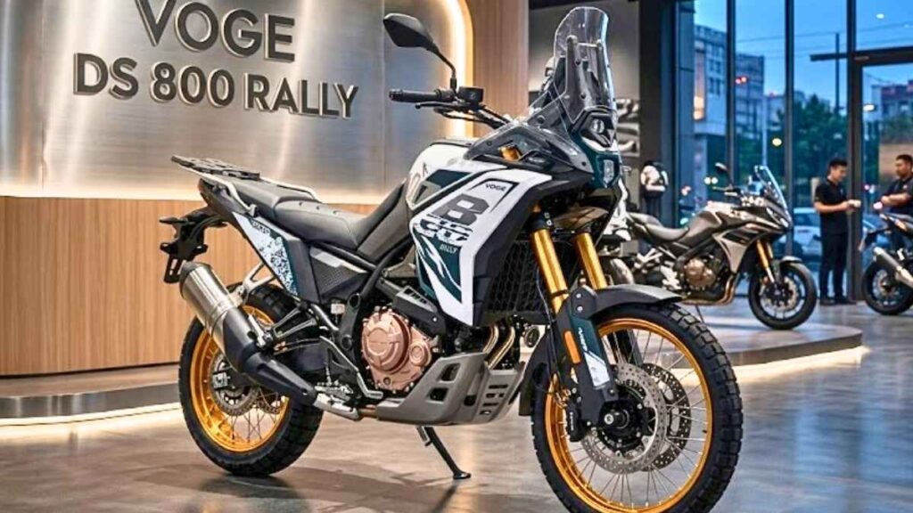 Voge DS 800 Rally 2026 Potencia equilibrada y resistencia en carretera